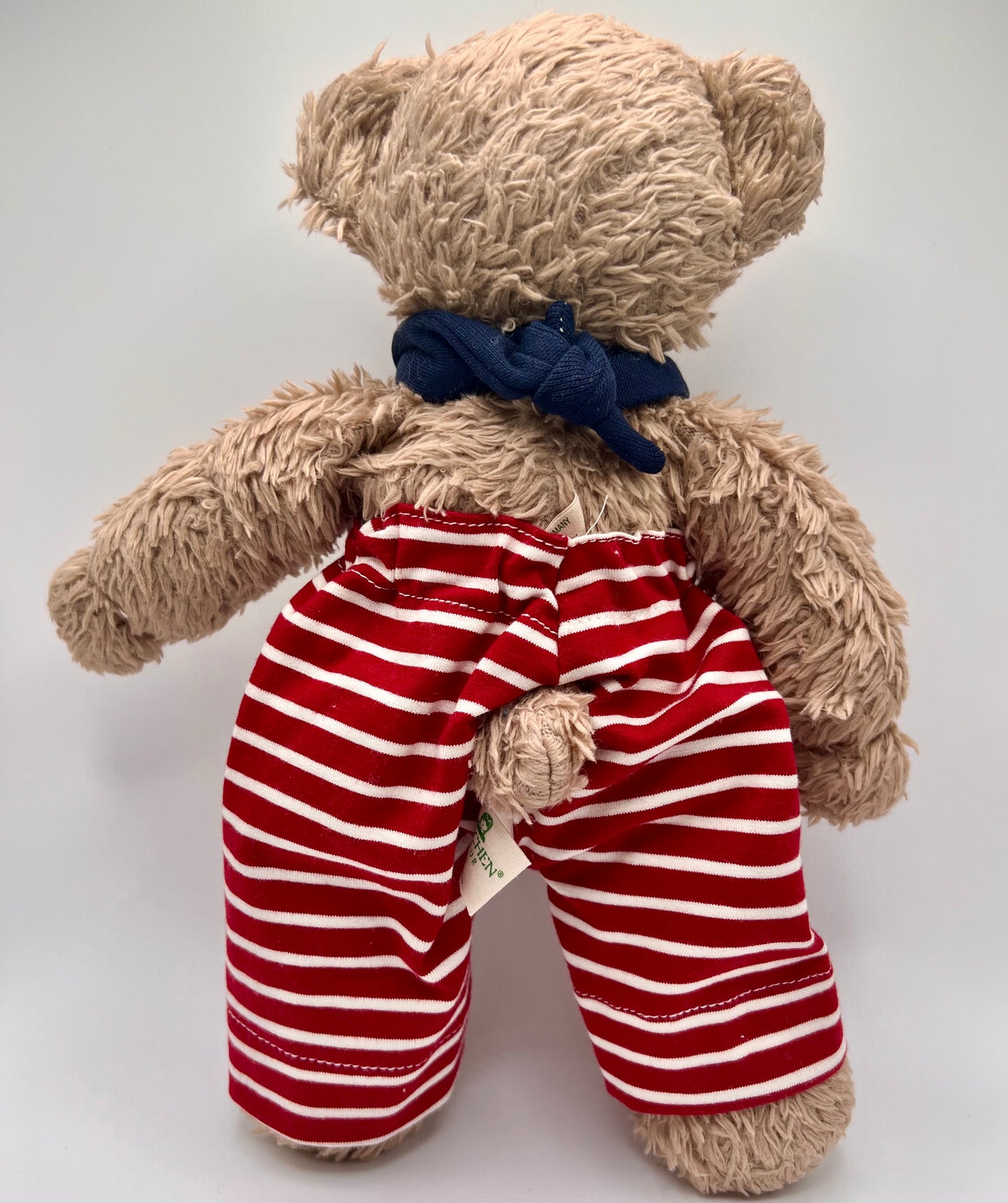 Nanchen Natur Seafaring Bear