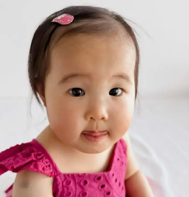 Small Fabric Hair Clips -Little Viera