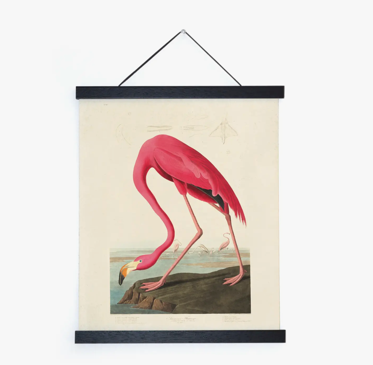 Vintage Audubon Flamingo Bird Print with Black Magnetic Frame