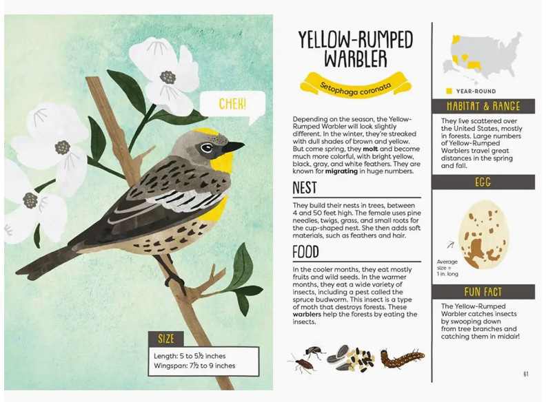 A Kid's Guide to Backyard Birds