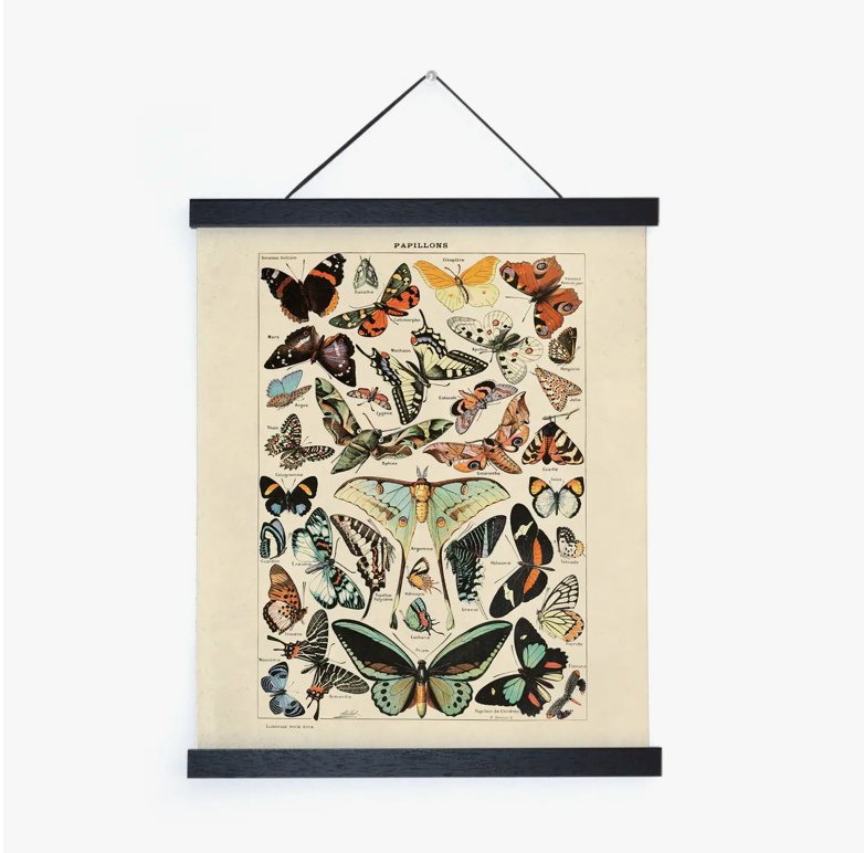 Vintage Millot Butterfly 3 Print with Black Magnetic Frame