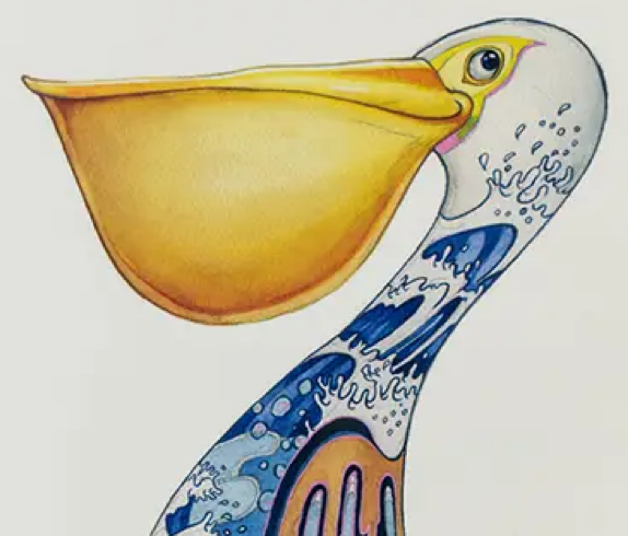 Pelican Greeting Card