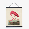 Vintage Audubon Flamingo Bird Print with Black Magnetic Frame