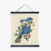 Vintage Audubon Blue Jay Bird Print with Black Magnetic Frame