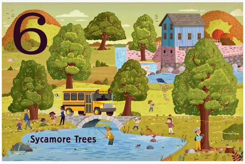 Trees: A Count and Find Primer - Board Book