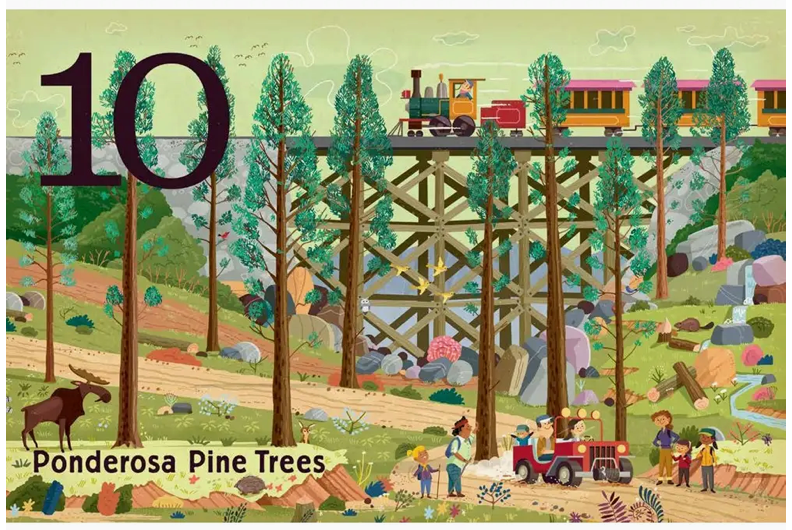 Trees: A Count and Find Primer - Board Book