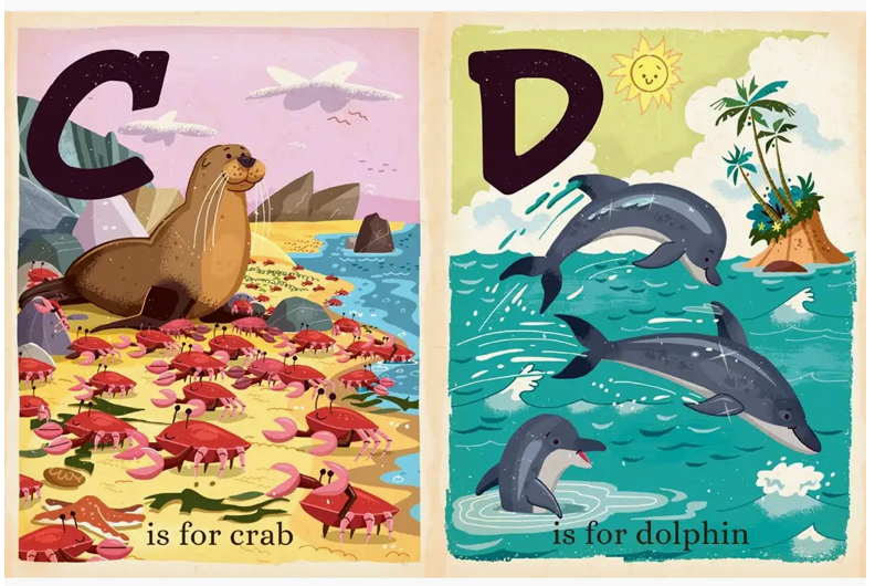 O is for Ocean - Board Book