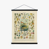 Vintage French Sea Shell Print with Natural Magnetic Frame